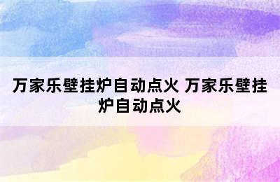 万家乐壁挂炉自动点火 万家乐壁挂炉自动点火